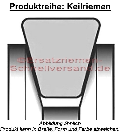 Keilriemen / Antriebsriemen für Proteus Heimtrainer / Ergometer Cycle PEC 2000 / PEC2000