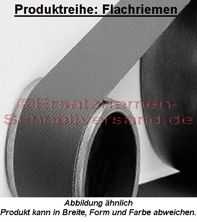 Flachriemen / Antriebsriemen für Hanning Doppelschleifer / Nassschleifer SSC 12/12-029