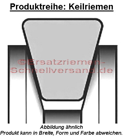LE 940mm Baudenzug für Holzinger Schneefräse HSF-110