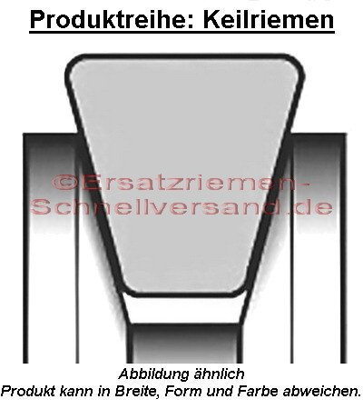 Antriebsriemen / Keilriemen für Wacker Rüttelplatte / Verdichter DPU6055 / DPU 6055